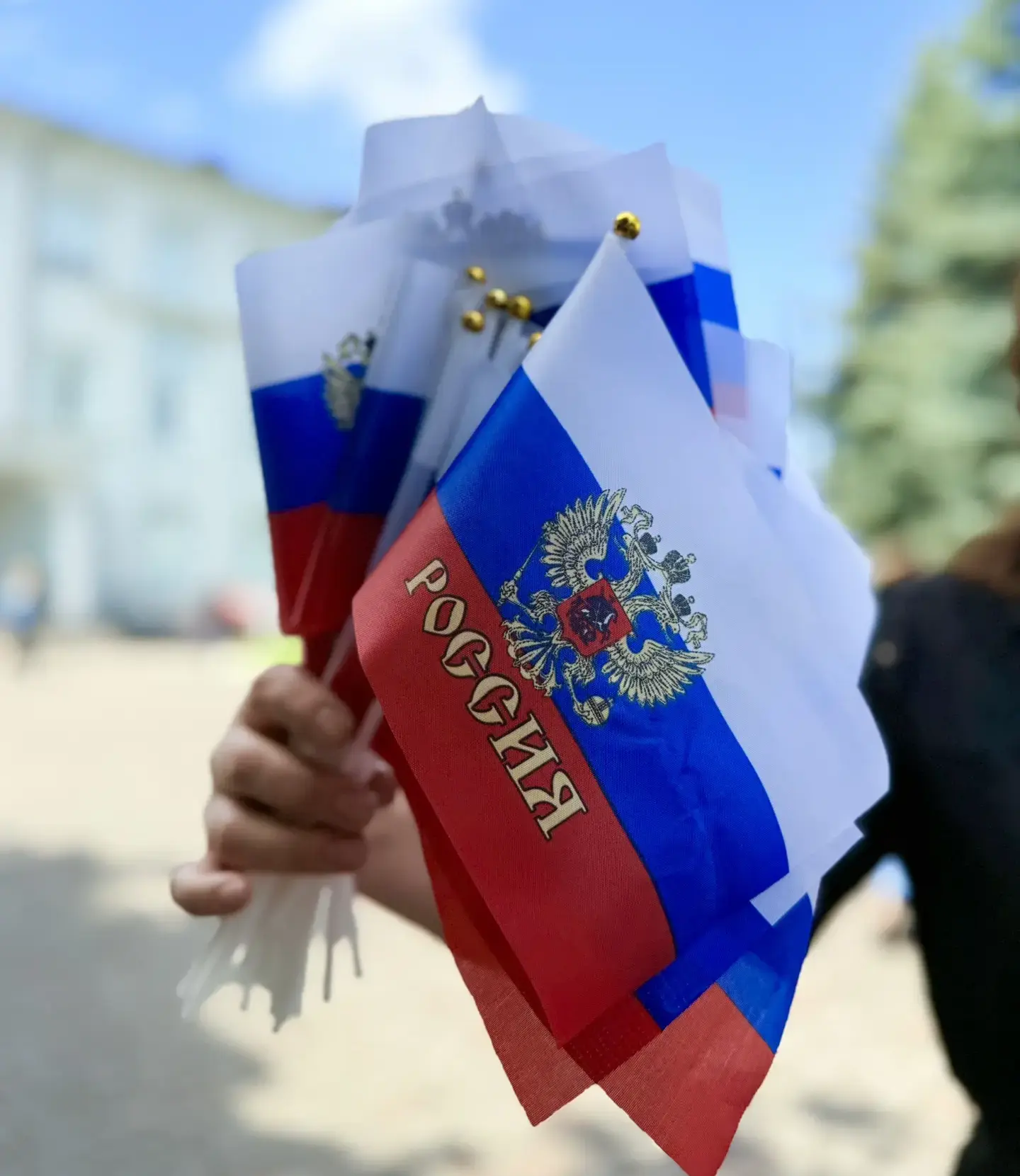 Коллектив Министерства труда и социальной защиты КБР присоединяется к поздравлениям с Днём России!  